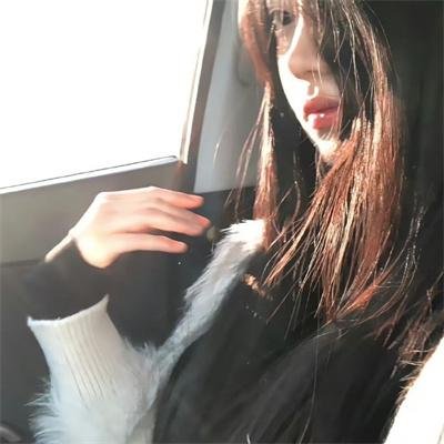冬狮(电视剧)
