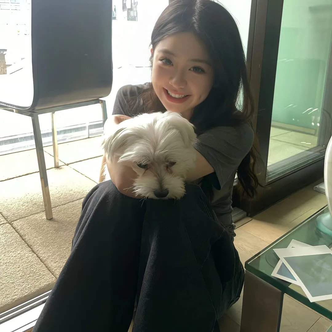 酱狗